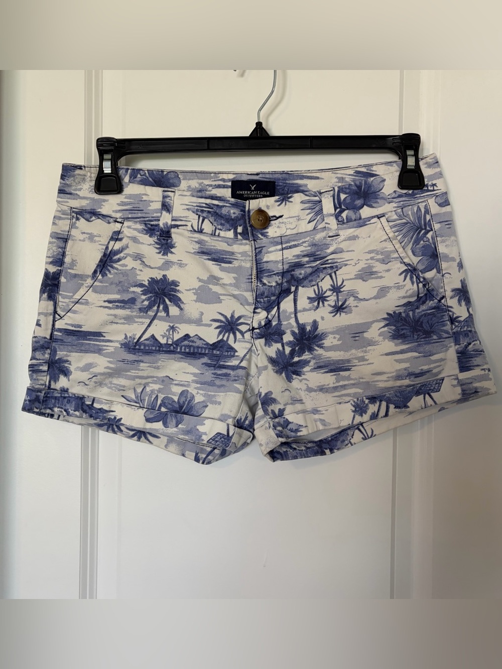 American Eagle Outfitters Blue Tropical Print Women's Shorts
Size 6